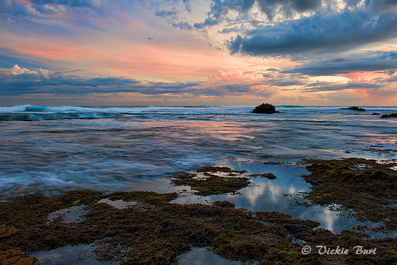 Colour Reflections