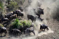 River of Dust
