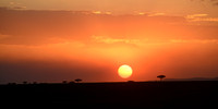 Sunset over the Serengeti