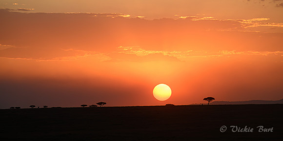 Sunset over the Serengeti