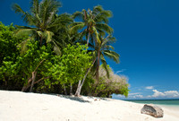 Tropical Island Paradise