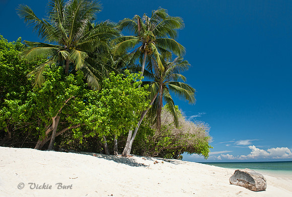 Tropical Island Paradise