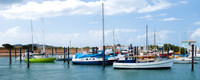 Sailboats