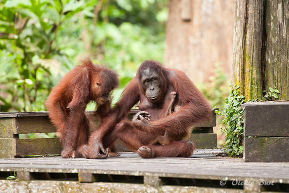 Meeting the Family