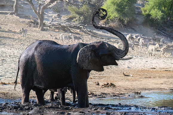 Mud Bath Exuberance