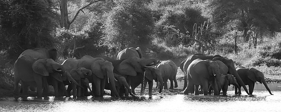 Family Gathering