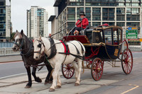 Melbourne Horse drawn carriage